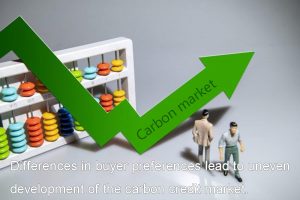 買(mǎi)方偏好的差異導(dǎo)致了碳信用市場(chǎng)的不平衡發(fā)展。